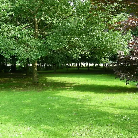 Le Clos D'alainade - Chalet * Woignarue
