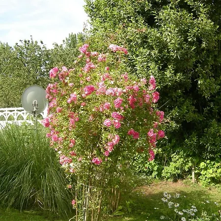 Chalet Le Clos D'alainade - Chalet